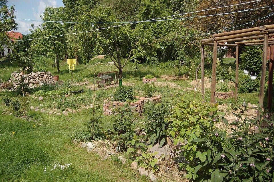 Regenerative Land and Food